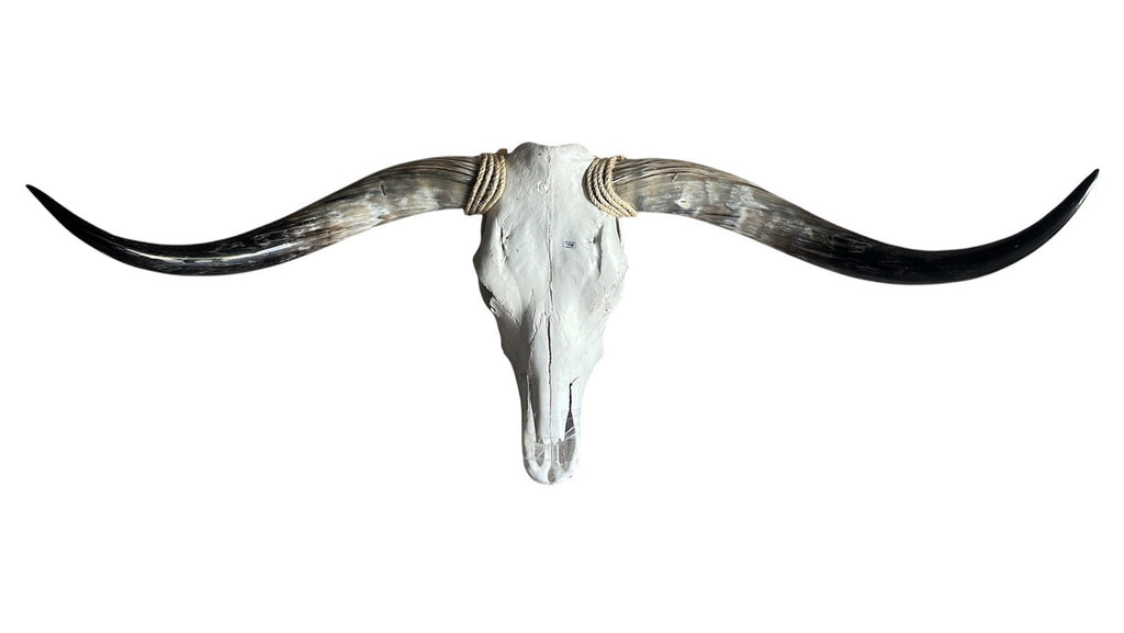 Longhorn Skull Wall Decor 50 Inches Wide Mounted Bull Horn Rustic Lodge