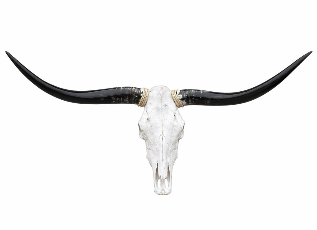 Genuine Longhorn Skull 4-4.5 ft Wide Cowhide Rug Included