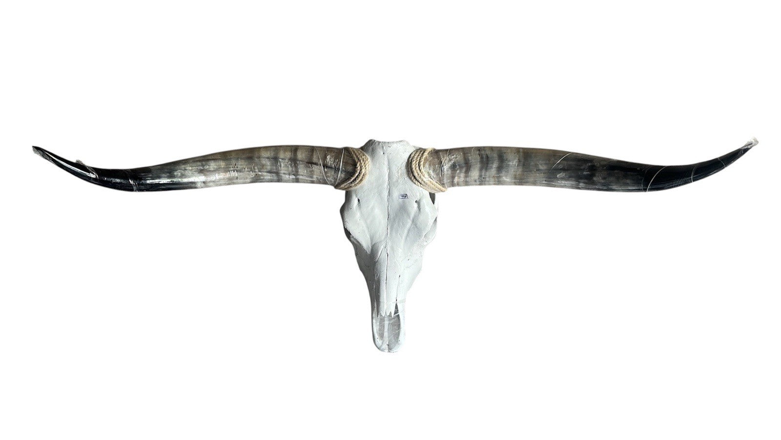 Longhorn SKULL 45 In WIDE Horns BULL HORN MOUNTED COW HEAD