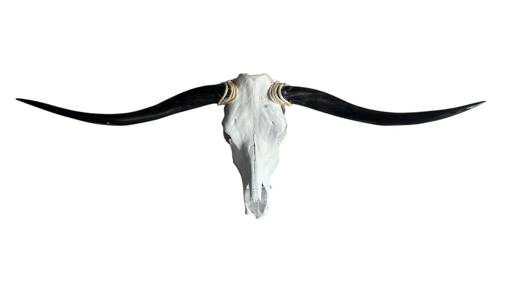 Genuine Longhorn SKULL 55 In WIDE Horns BULL HORN MOUNTED COW HEAD