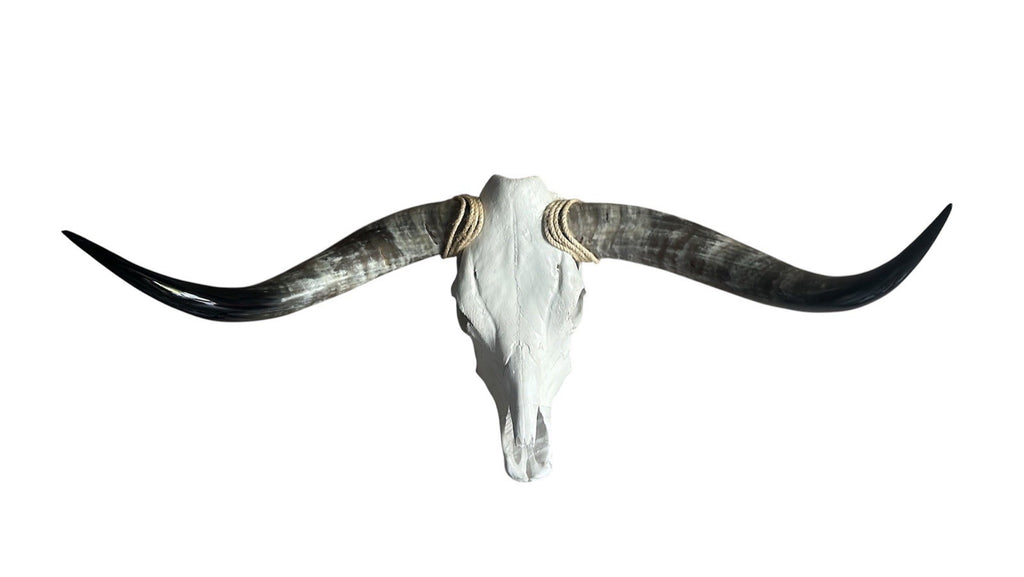 Longhorn SKULL 43 In WIDE Horns BULL HORN MOUNTED COW HEAD