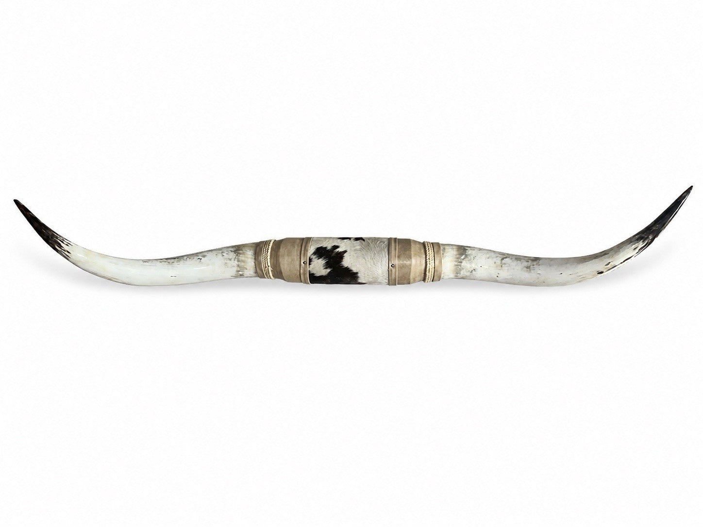 GENUINE LONGHORN 65 in Wide Mounted Steer Horns Western Ranch Decor