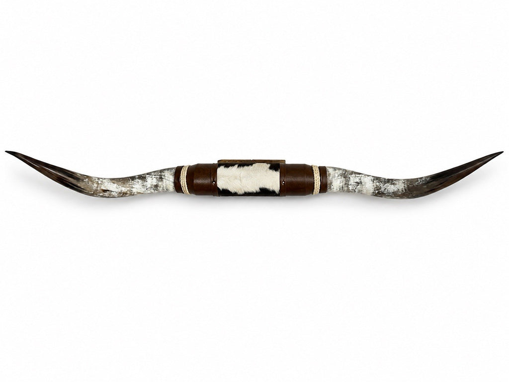 MOUNTED STEER HORNS 65” wide LONGHORN POLISHED MOUNT BULL COW
