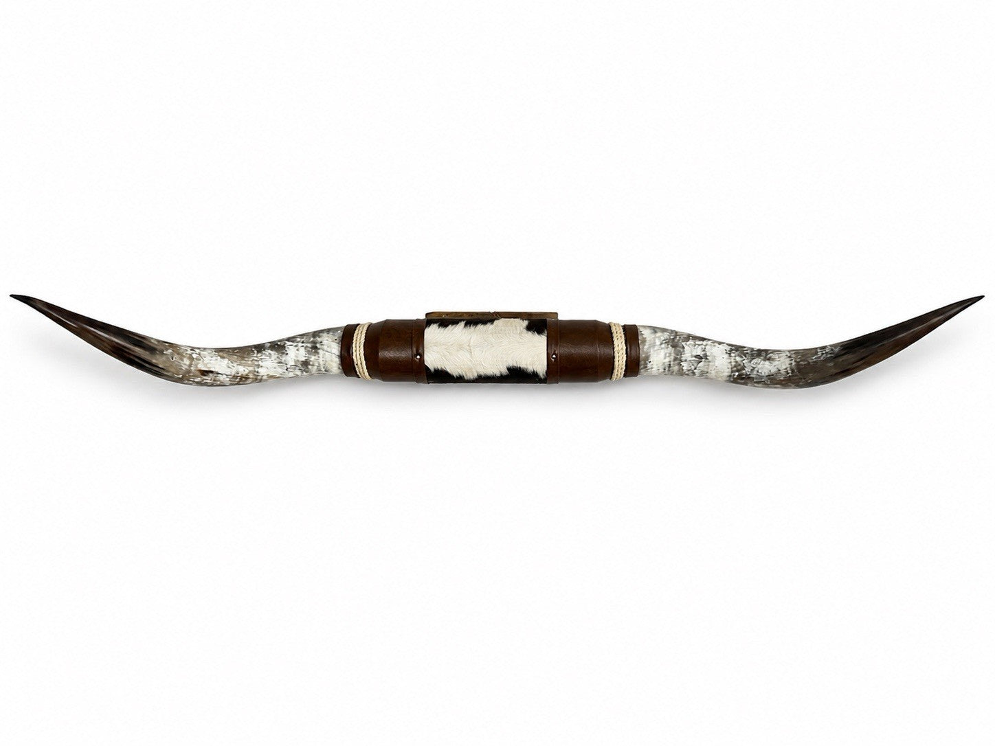 MOUNTED STEER HORNS 65” wide LONGHORN POLISHED MOUNT BULL COW