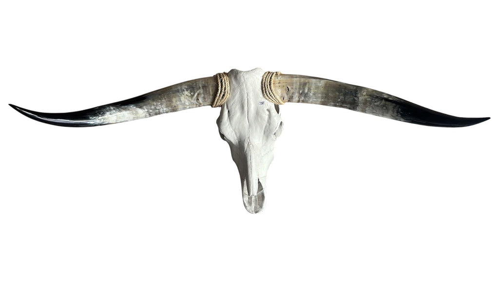 Longhorn Skull Wall Decor 47 In Wide Mounted Bull Horn Rustic Lodge