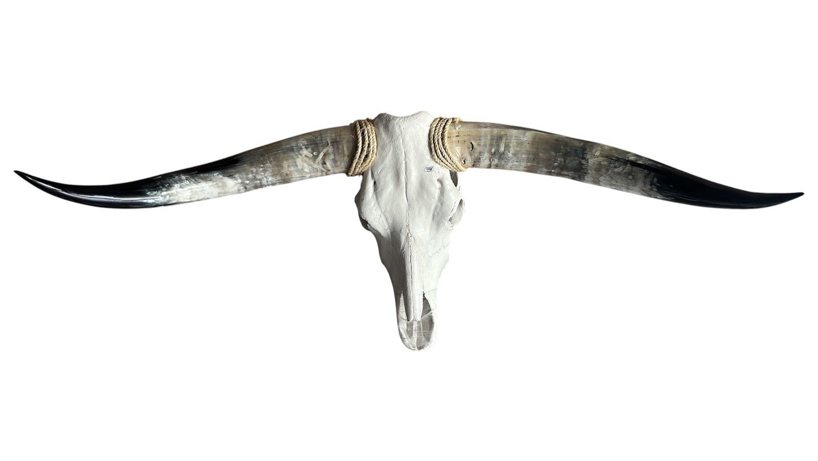 Longhorn Skull Wall Decor 47 In Wide Mounted Bull Horn Rustic Lodge