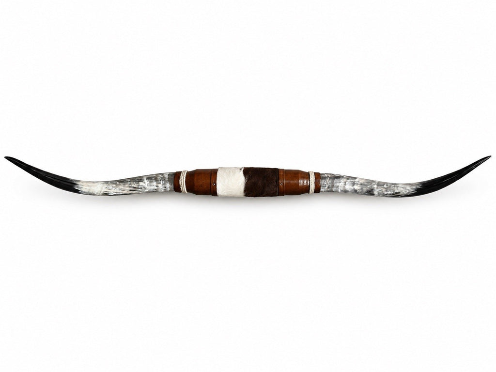 MOUNTED STEER HORNS 67”  wide LONGHORN POLISHED MOUNT BULL COW