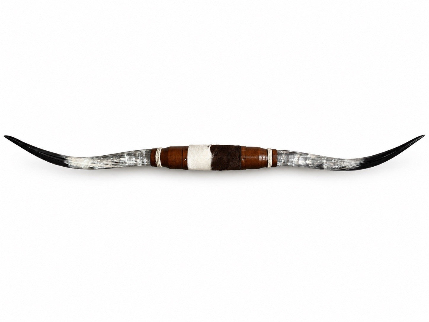 MOUNTED STEER HORNS 67”  wide LONGHORN POLISHED MOUNT BULL COW