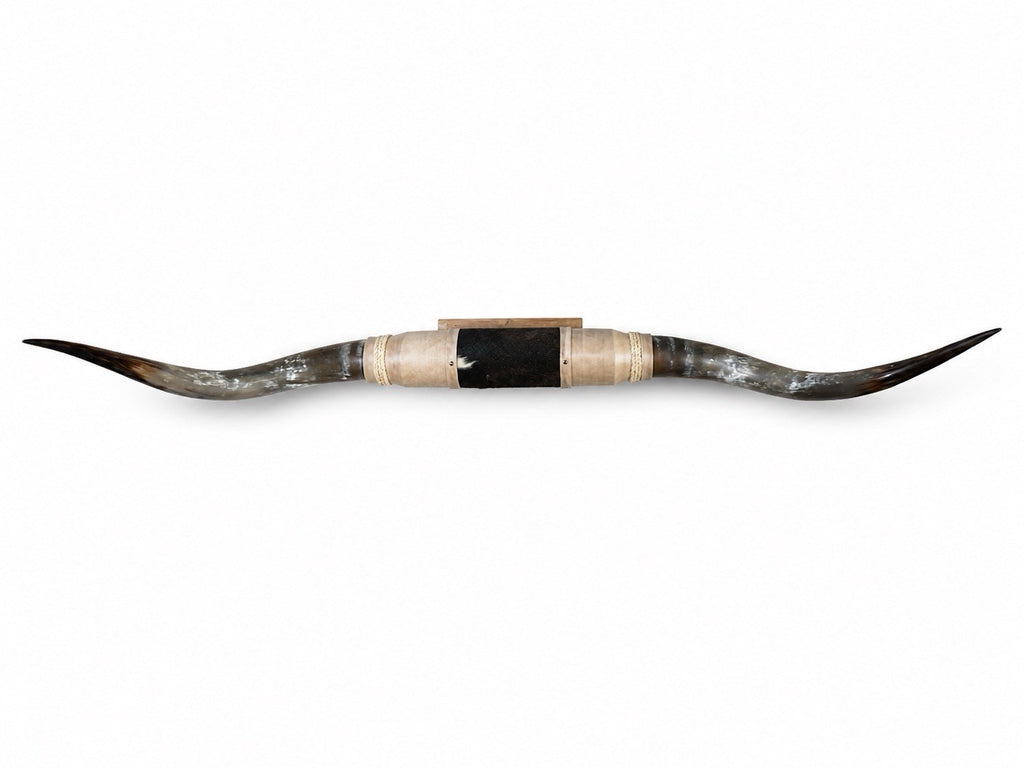 MOUNTED STEER HORNS 69 Inches Wide LONGHORN POLISHED MOUNT BULL COW