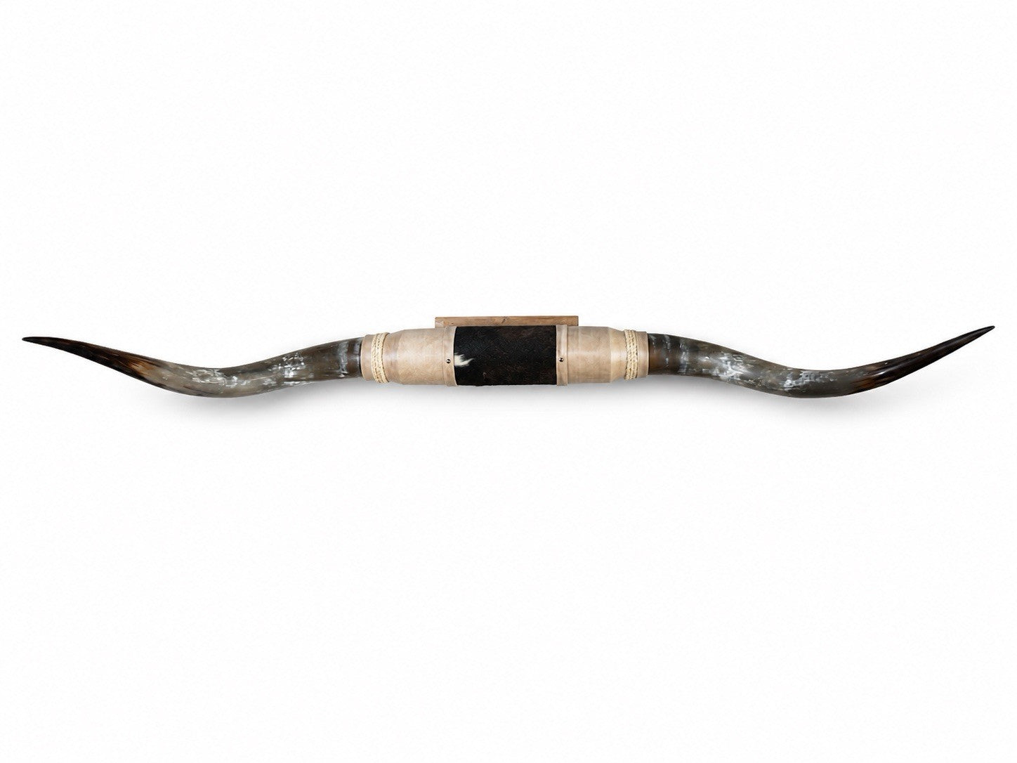 MOUNTED STEER HORNS 69 Inches Wide LONGHORN POLISHED MOUNT BULL COW