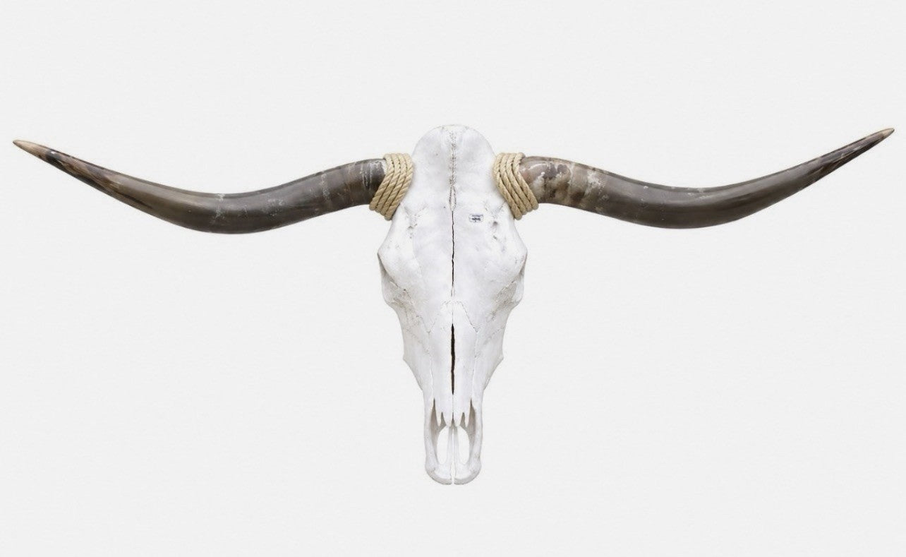 Longhorn SKULL 4-4.5 Ft Wide Horns BULL HORN MOUNTED COW HEAD Cowhide Included
