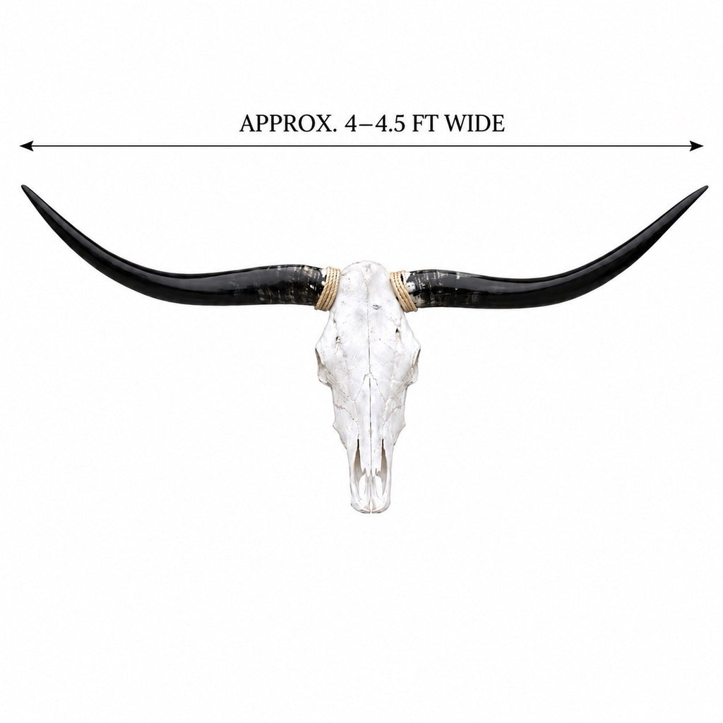 Genuine Longhorn Skull 4-4.5 ft Wide Cowhide Rug Included