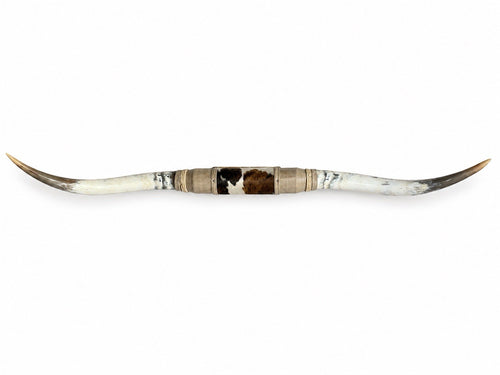 GENUINE LONGHORN 67 In Wide Mounted Steer Horns Western Ranch Decor