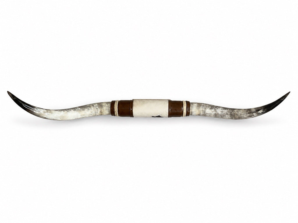 MOUNTED STEER HORNS 61 Inches wide LONGHORN POLISHED MOUNT BULL COW