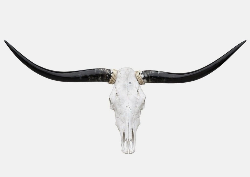 Longhorn Skull 4-4.5 Ft Wide Mounted Bull Horn Wall Decor Cowhide Included