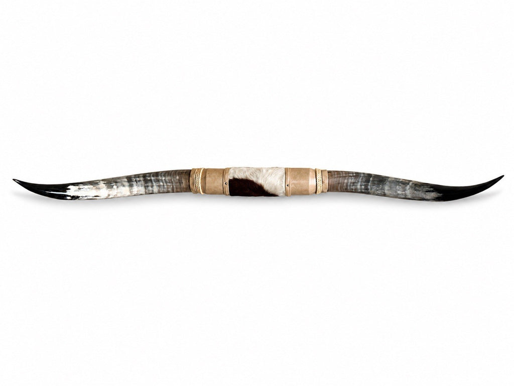 MOUNTED STEER HORNS 63” wide LONGHORN POLISHED MOUNT BULL COW
