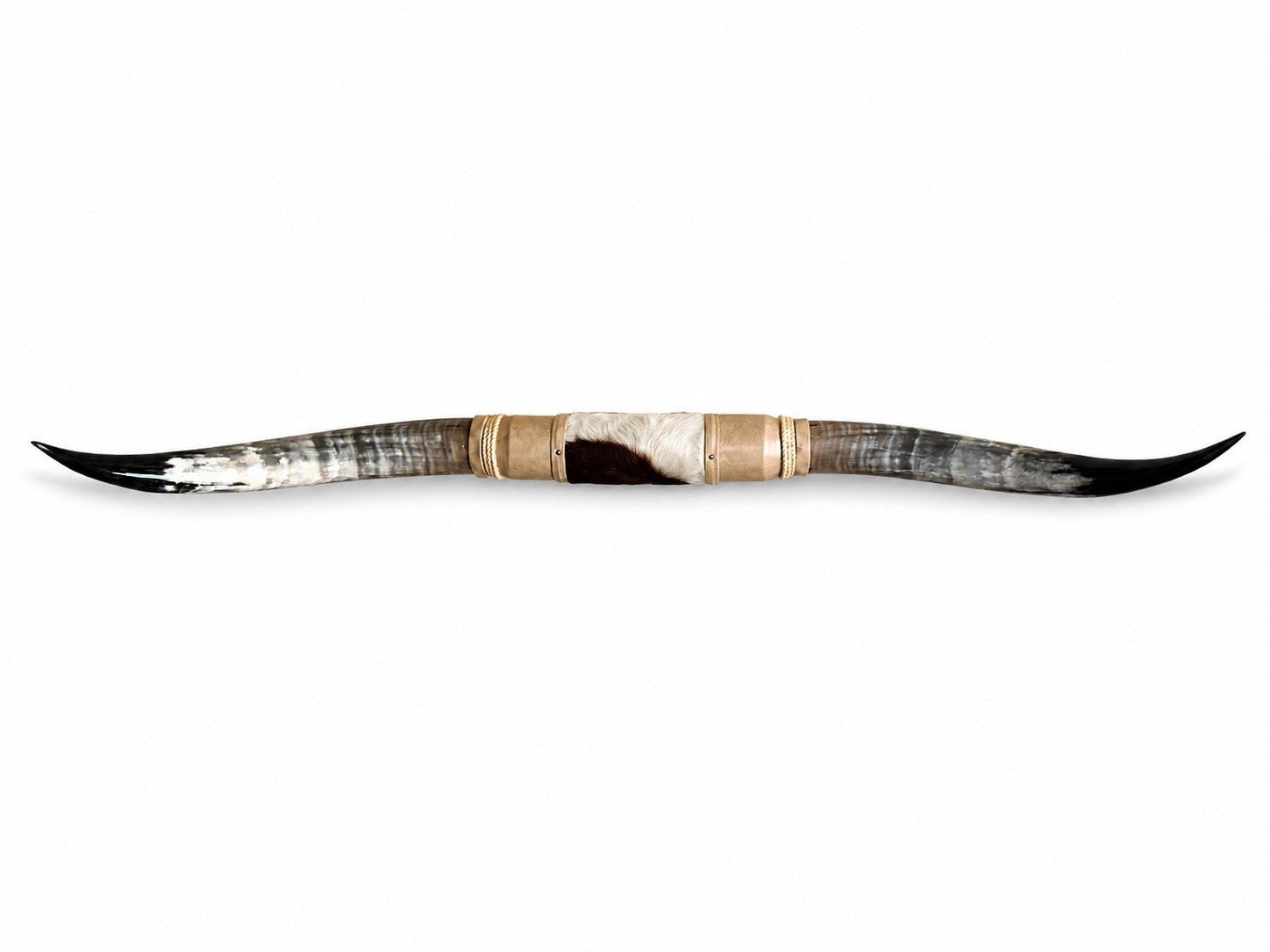 MOUNTED STEER HORNS 63” wide LONGHORN POLISHED MOUNT BULL COW