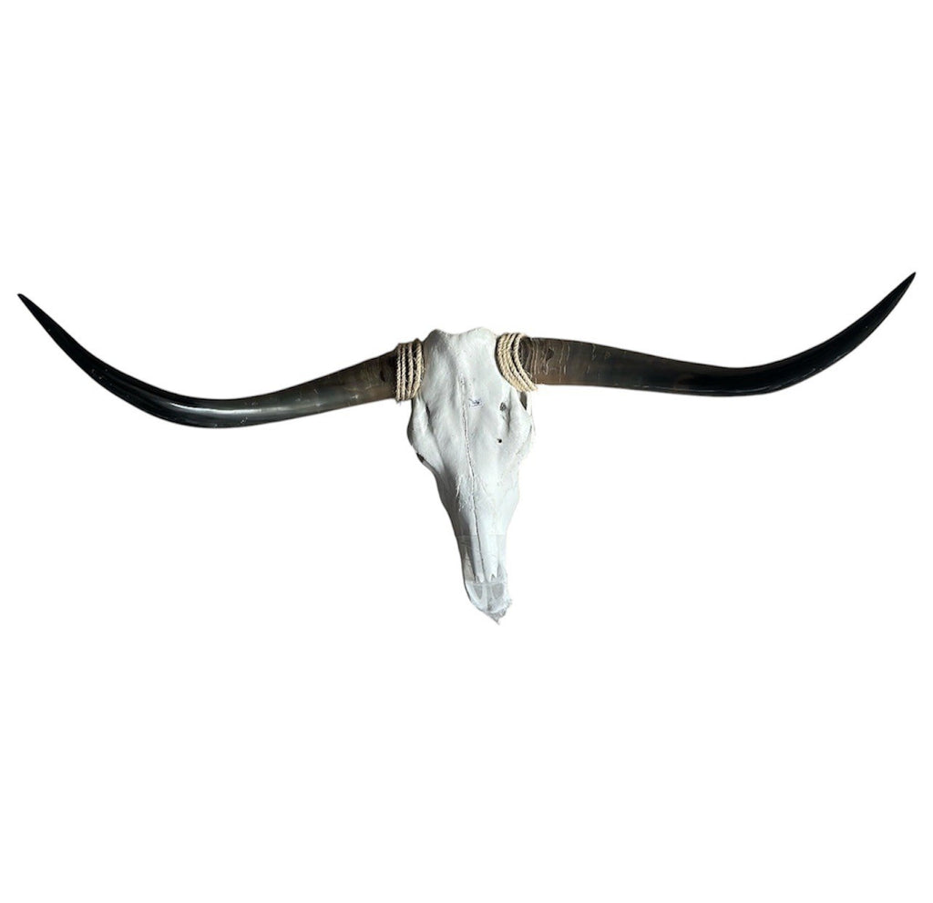 Genuine Longhorn Skull 48 Inches Wide Mounted Bull Horns Western Decor