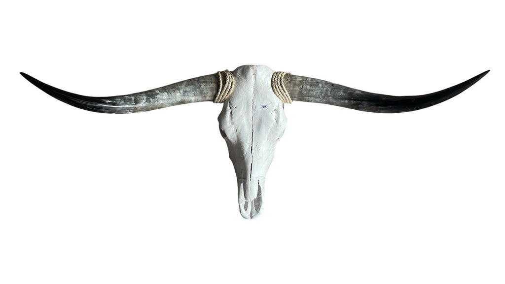 Mounted Longhorn Skull 48 Inches Wide Bull Horn Wall Decor Western Ranch