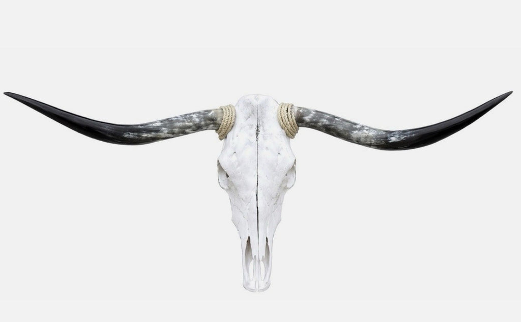 Longhorn Skull 4-4.5 Ft Wide Bull Horn Mounted Cow Head Cowhide Included