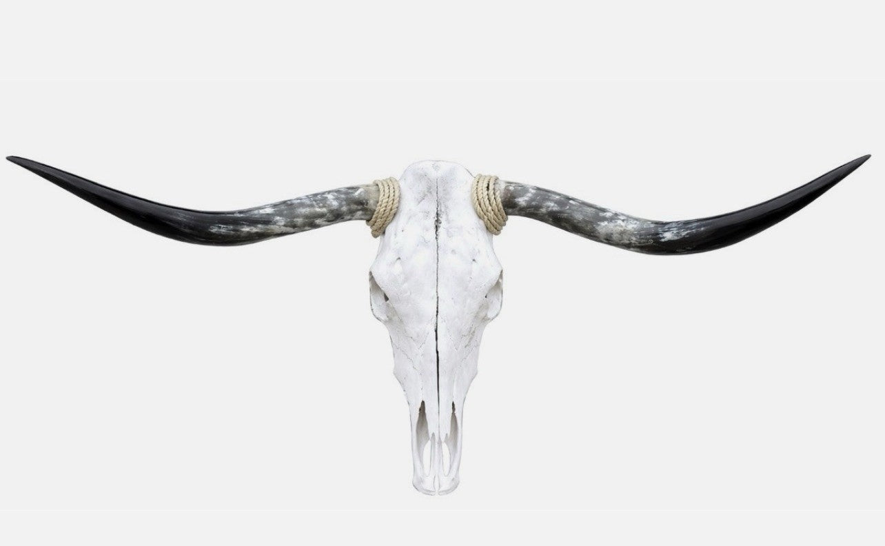 Longhorn Skull 4-4.5 Ft Wide Bull Horn Mounted Cow Head Cowhide Included