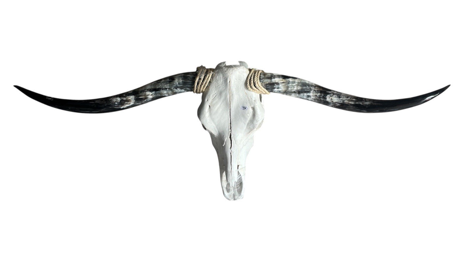 Longhorn Skull 53 In Wide Mounted Bull Horn Wall Decor Ranch Cabin