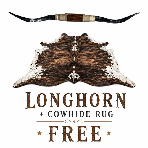 Genuine 68” Texas LONGHORN Wall Mount + Cowhide Rug INCLUDED Western Ranch Decor