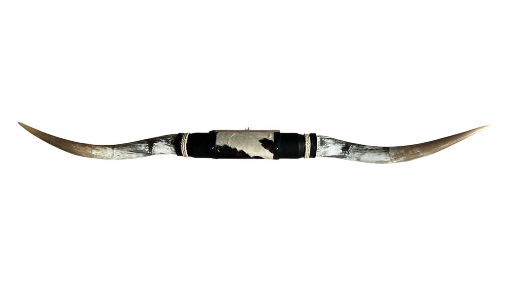 MOUNTED STEER HORNS  66 Inches wide LONGHORN POLISHED MOUNT BULL COW