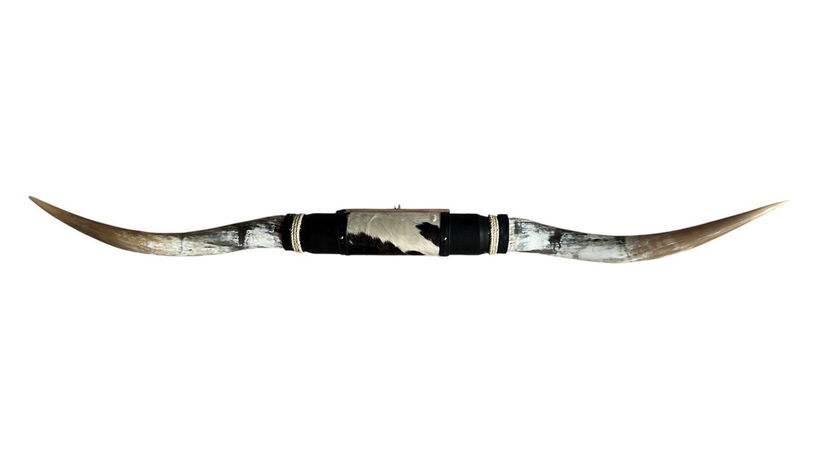 MOUNTED STEER HORNS  66 Inches wide LONGHORN POLISHED MOUNT BULL COW