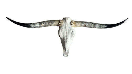 Longhorn Skull, 51” Wide – Western Luxury Wall Decor