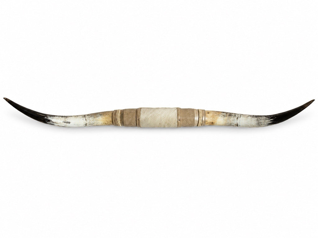 MOUNTED STEER HORNS 60 Inches Wide LONGHORN POLISHED MOUNT BULL COW
