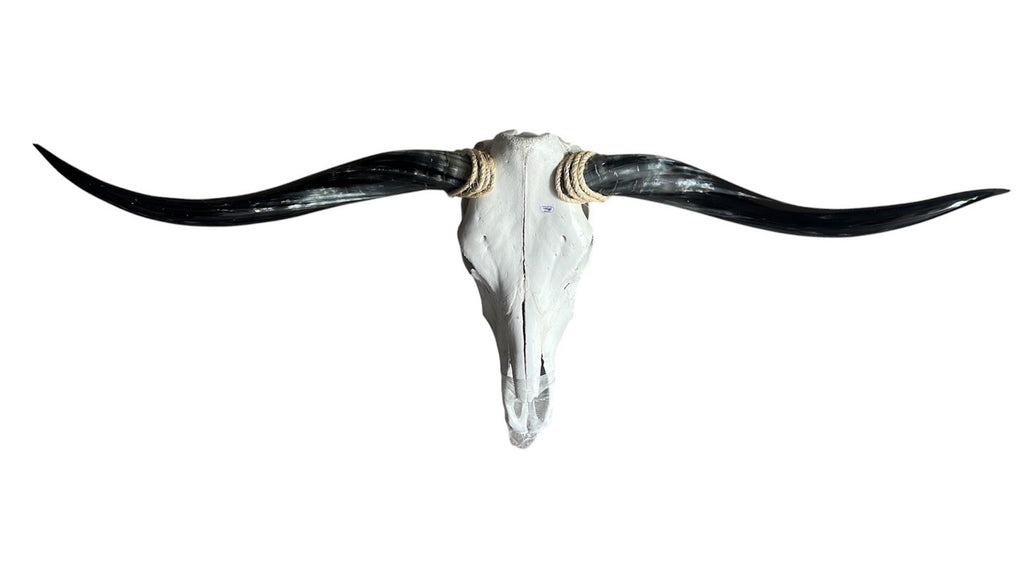 Mounted Longhorn Skull 53 In Wide Bull Horn Wall Decor Western Ranch