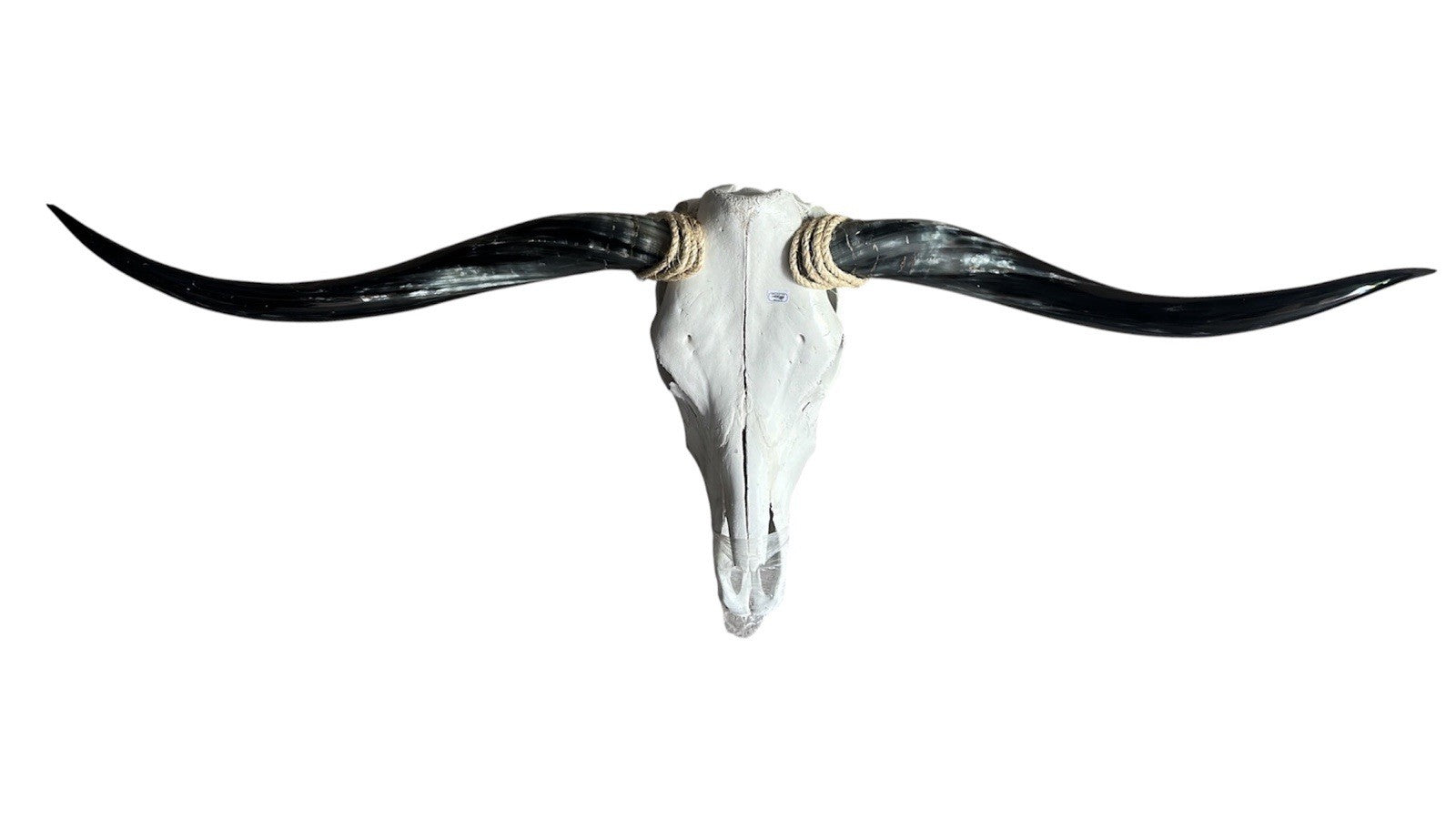 Mounted Longhorn Skull 53 In Wide Bull Horn Wall Decor Western Ranch
