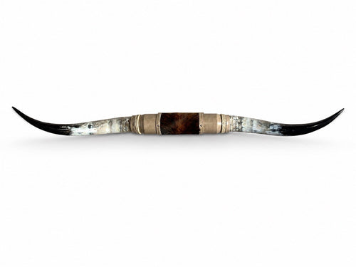 Authentic LONGHORN 66”  Wide Mounted Steer Horns Western Ranch Decor