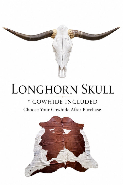 Longhorn SKULL 4-4.5 Ft Wide Horns BULL HORN MOUNTED COW HEAD Cowhide Included