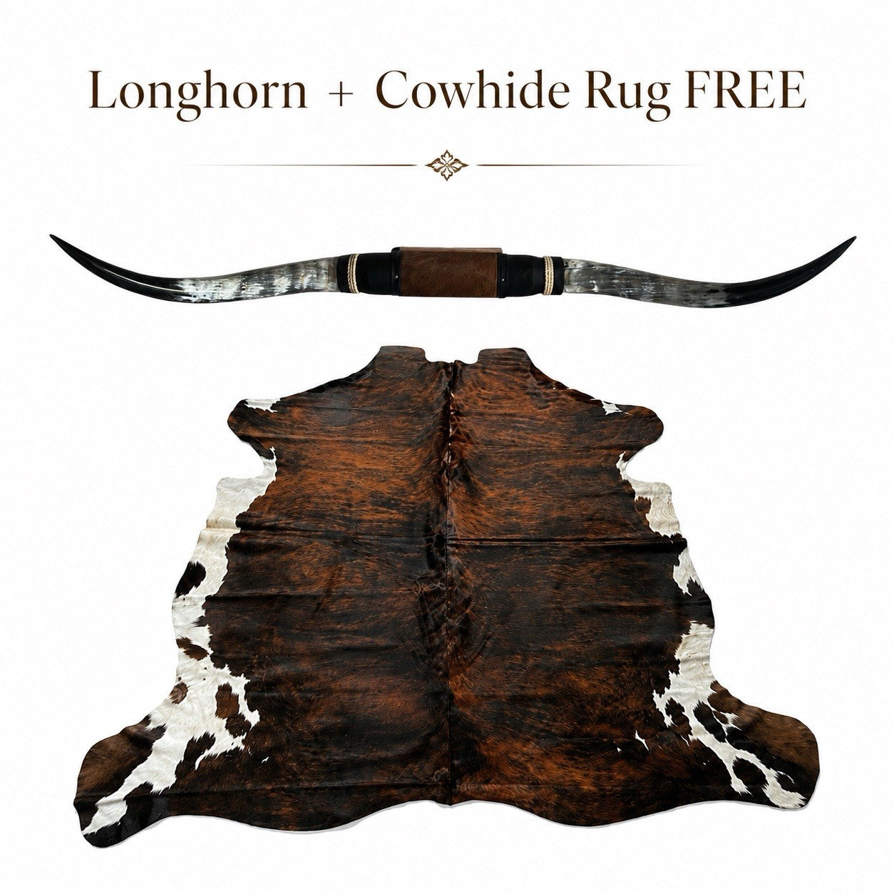 Authentic Mounted LONGHORN Wall Decor + FREE Cowhide Rug Texas Ranch Home Decor