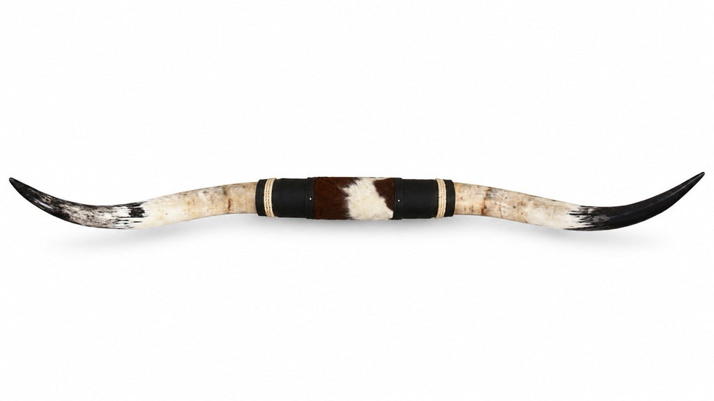 MOUNTED STEER HORNS 60 Inches wide LONGHORN POLISHED MOUNT BULL COW