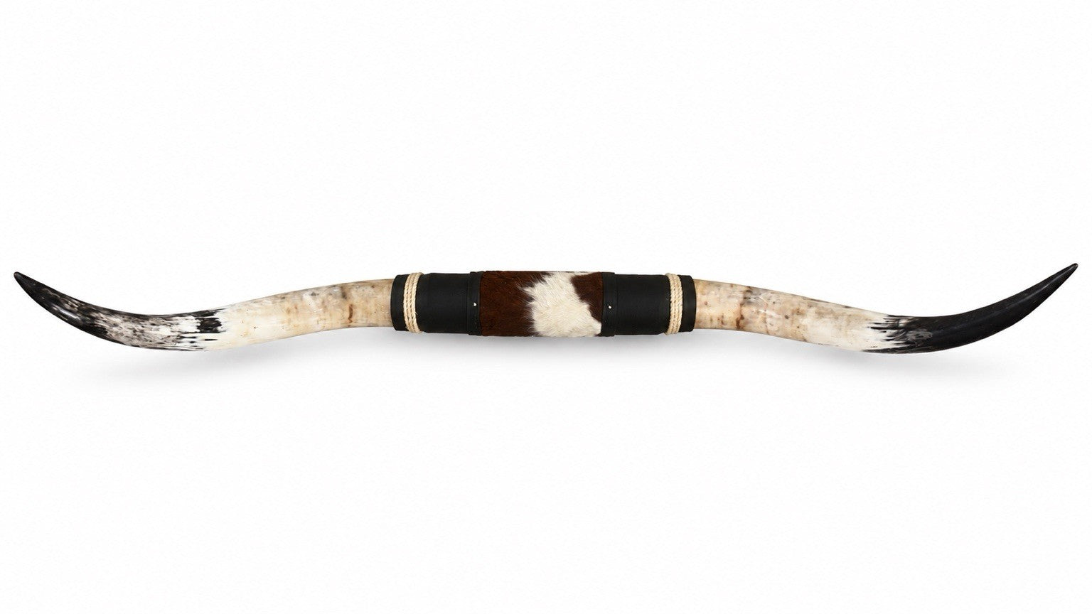 MOUNTED STEER HORNS 60 Inches wide LONGHORN POLISHED MOUNT BULL COW