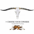 Genuine Longhorn Skull 4-4.5 ft Wide Mounted Bull Horn + Cowhide Included