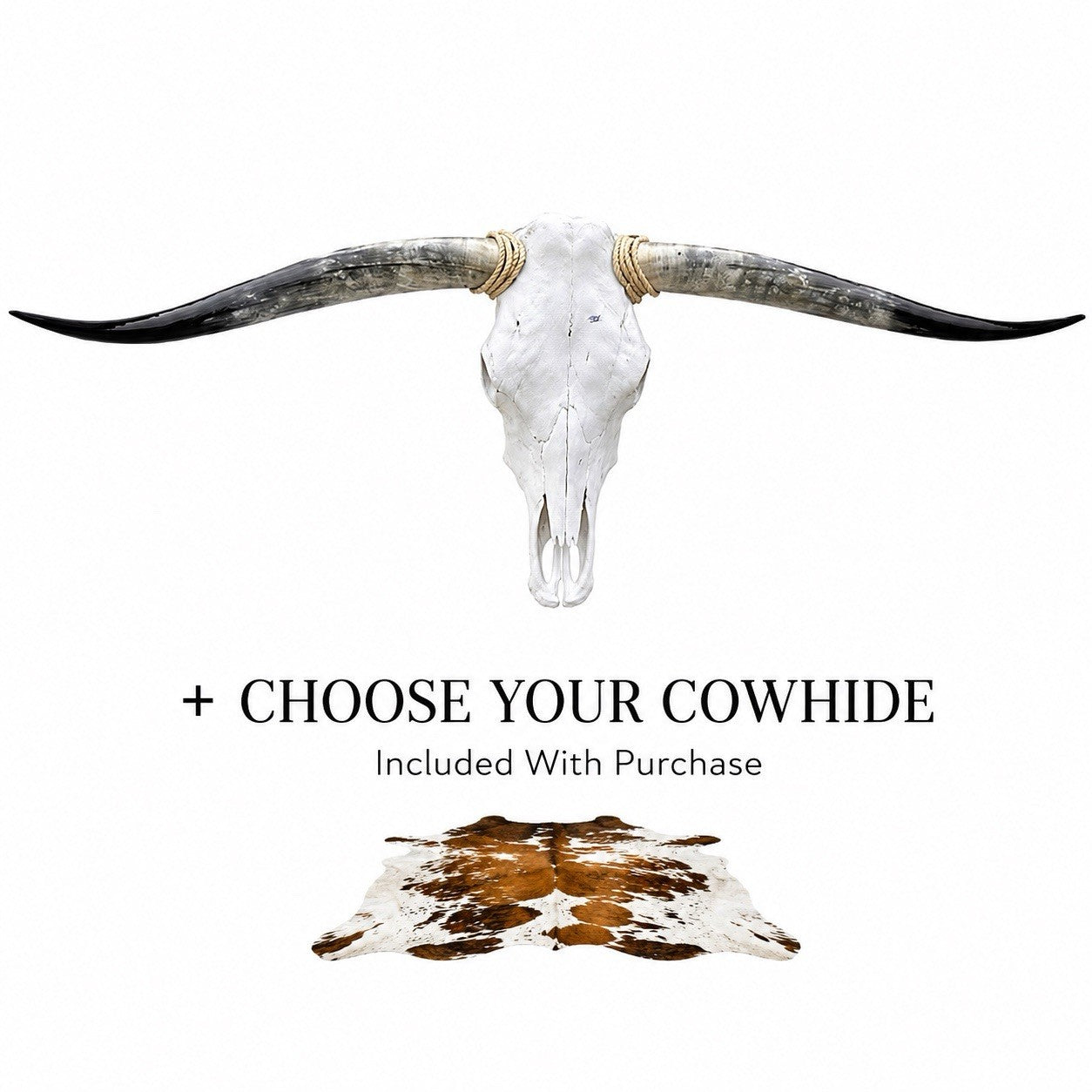 Genuine Longhorn Skull 4-4.5 ft Wide Mounted Bull Horn + Cowhide Included
