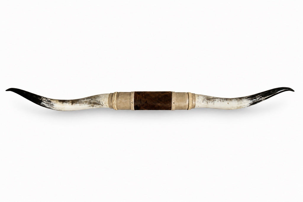 MOUNTED STEER HORNS 67 Inches wide LONGHORN POLISHED MOUNT BULL COW