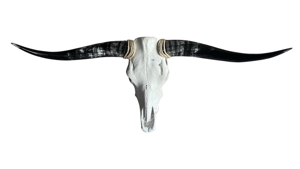 Longhorn Skull 48 In  Wide Mounted Bull Horn Wall Decor Ranch Cabin