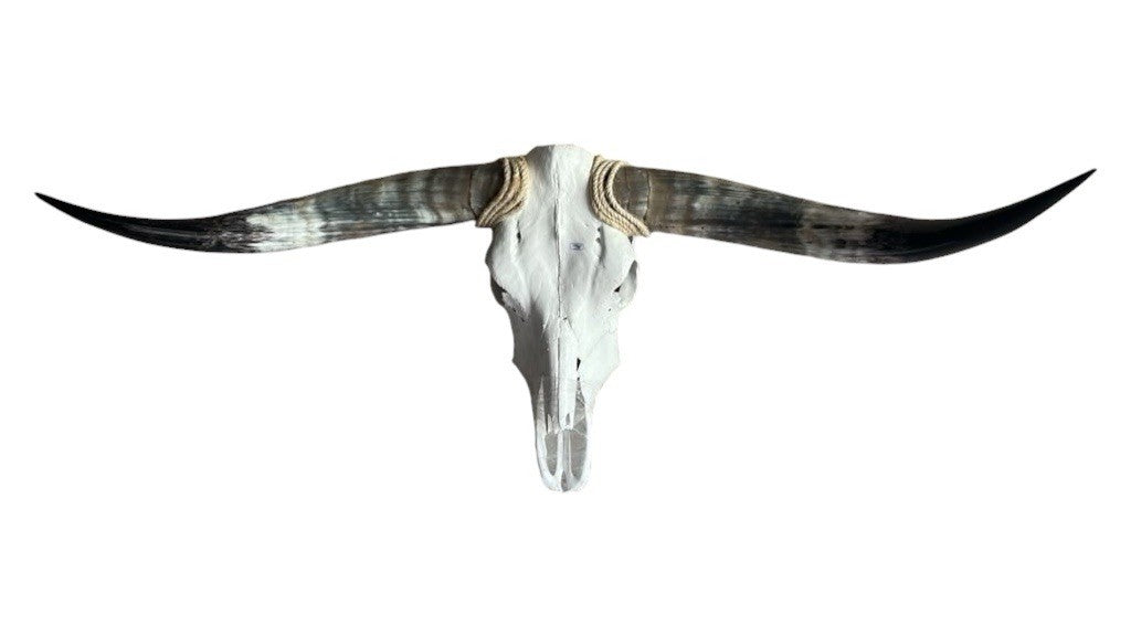 Longhorn Skull Wall Decor 45 Inches Wide Mounted Bull Horn Rustic Lodge