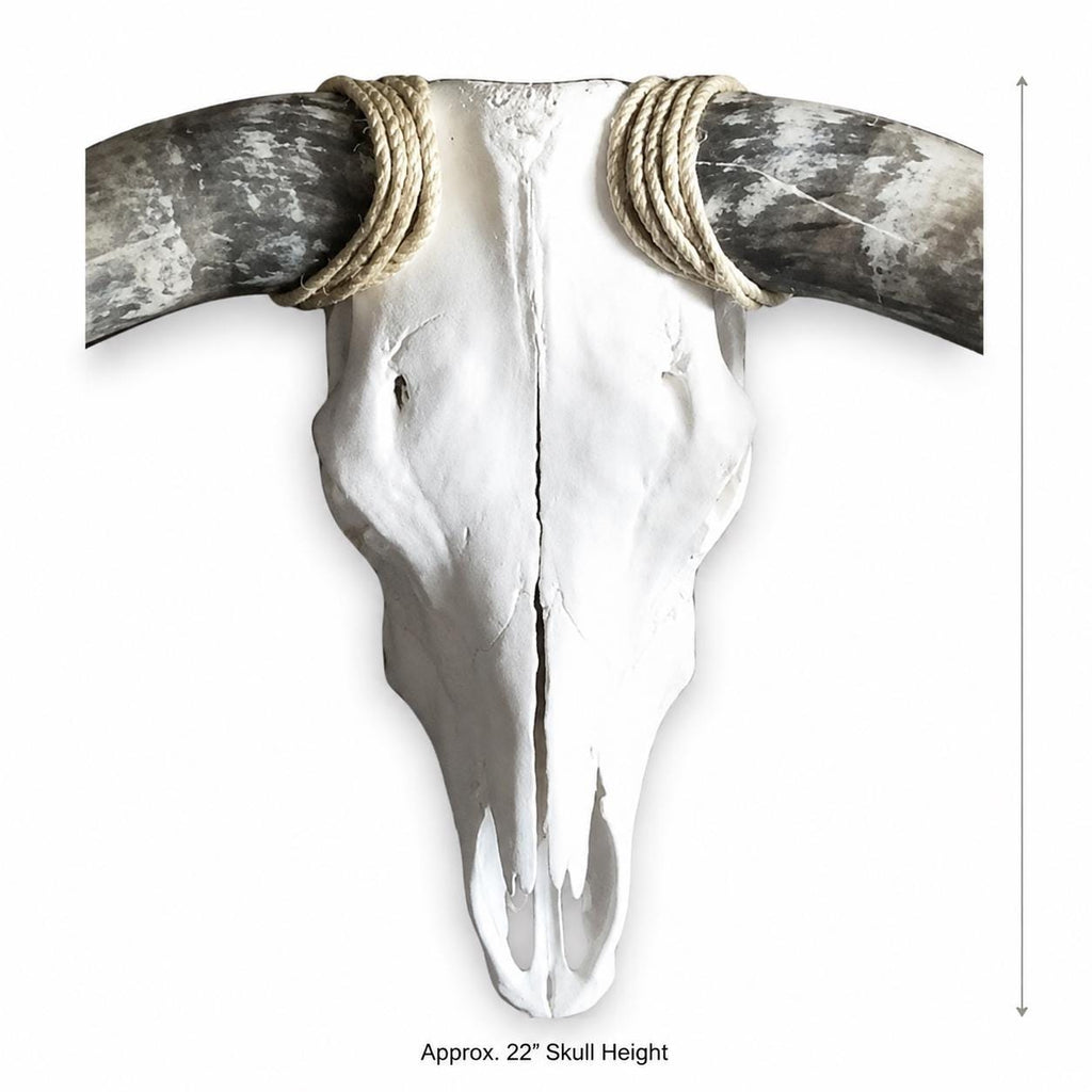 Longhorn Skull Wall Decor, 48” Wide – Natural Curved Horns, Rustic Western Ranch Decor