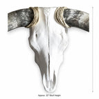 Longhorn Skull Wall Decor, 48” Wide – Natural Curved Horns, Rustic Western Ranch Decor