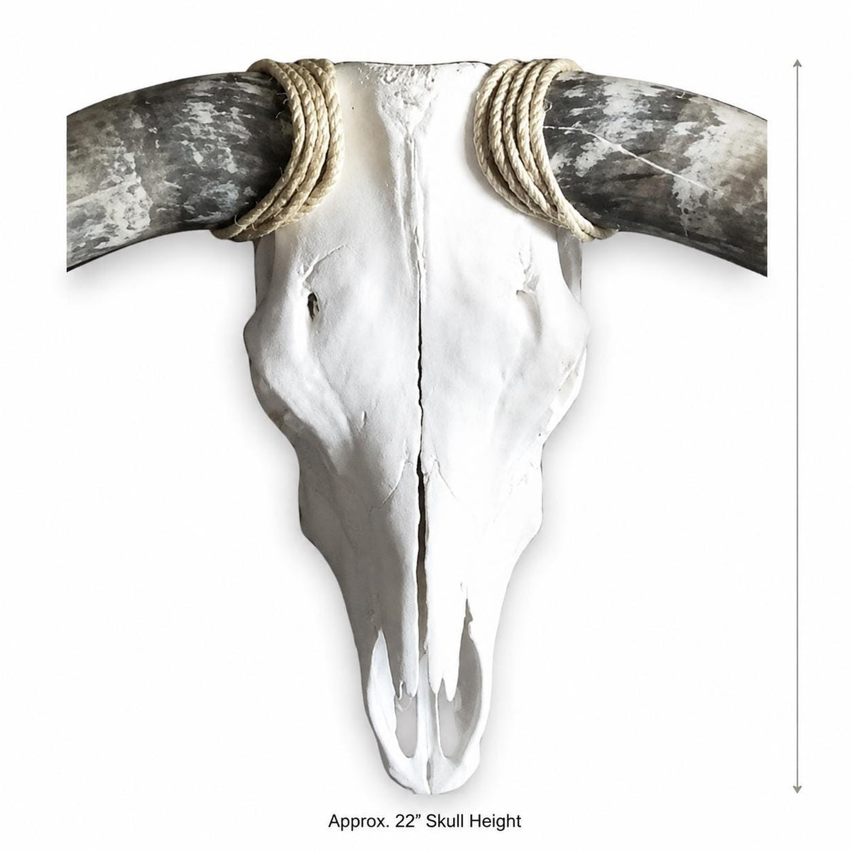 Longhorn Skull Wall Decor, 48” Wide – Natural Curved Horns, Rustic Western Ranch Decor