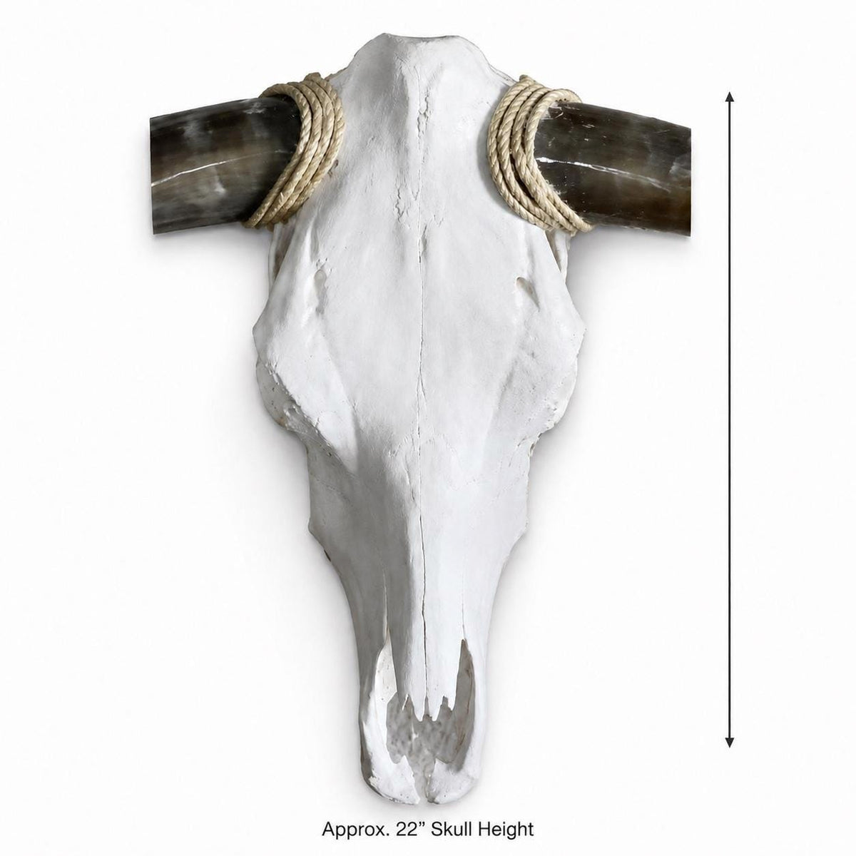 Longhorn Skull Wall Decor, 47” Wide – Dark Sweeping Horns, Modern Western Decor