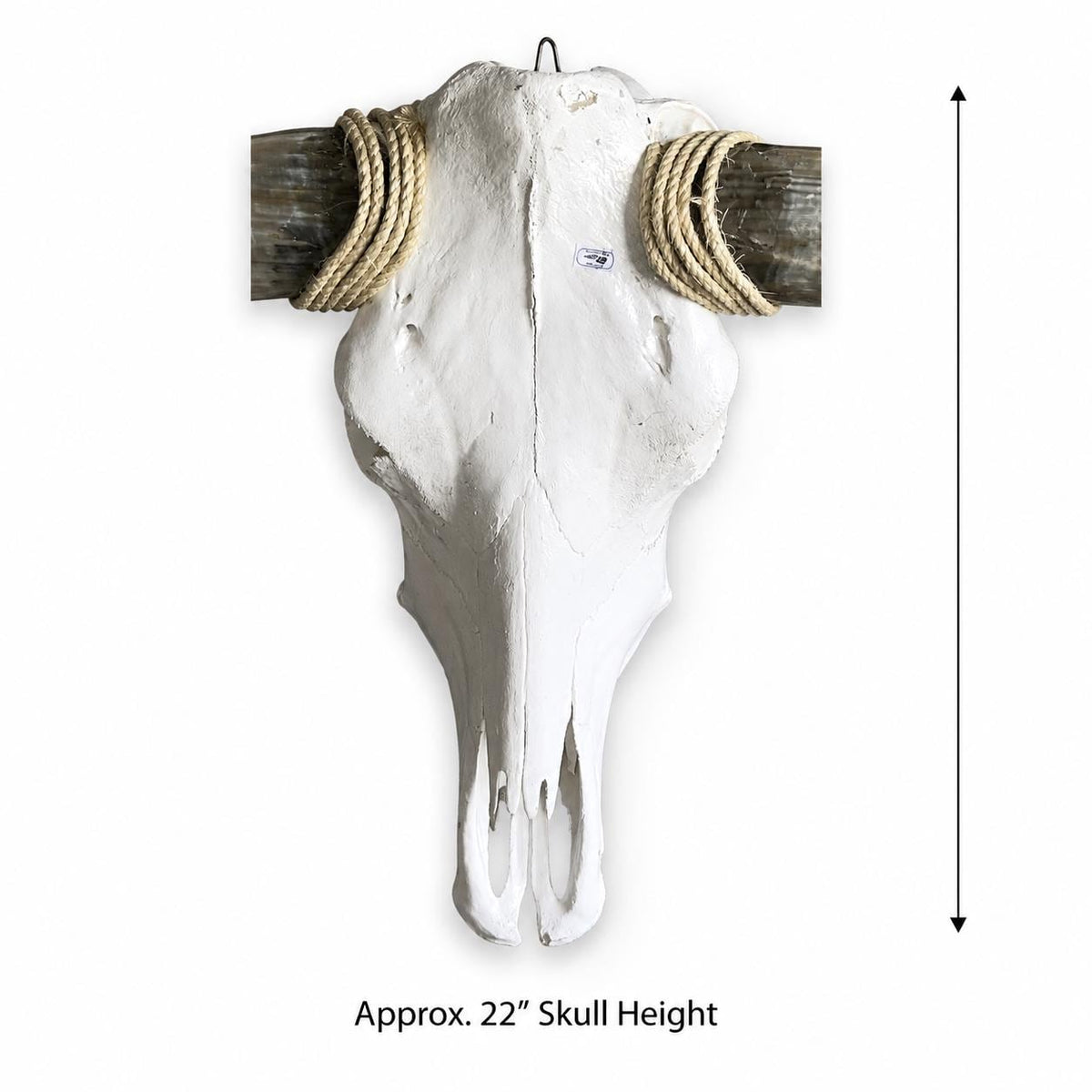 Longhorn Skull Wall Decor, 48” Wide – Dark Sweeping Horns, Western Wall Decor