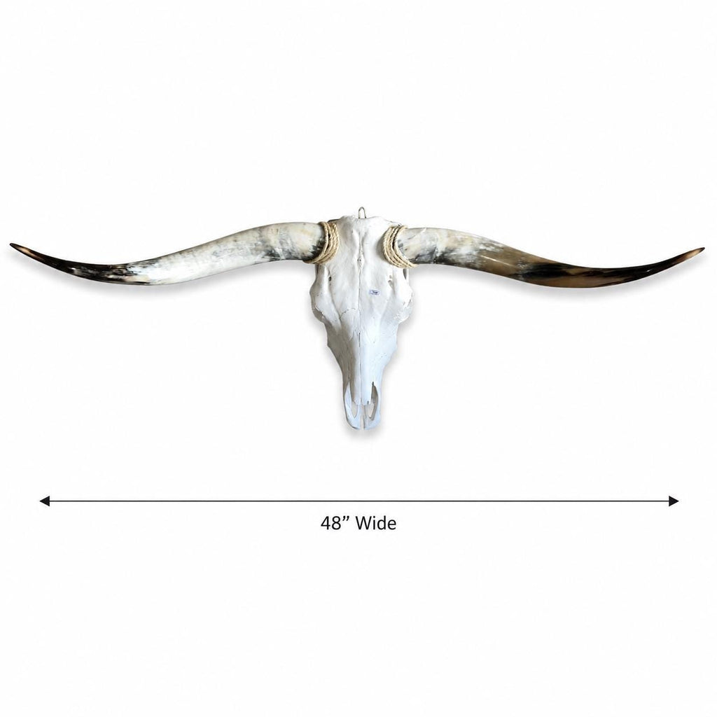 Longhorn Skull Wall Decor, 48” Wide – Natural Horns, Rustic Lodge Wall Decor