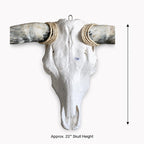 Longhorn Skull Wall Decor, 48” Wide – Natural Horns, Rustic Lodge Wall Decor